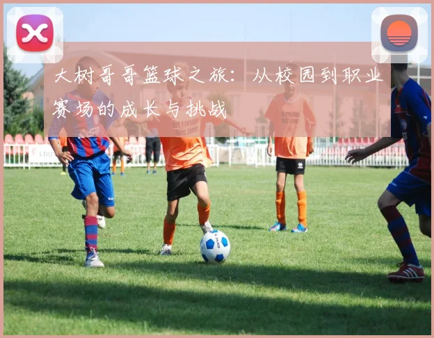 大树哥哥篮球之旅：从校园到职业赛场的成长与挑战