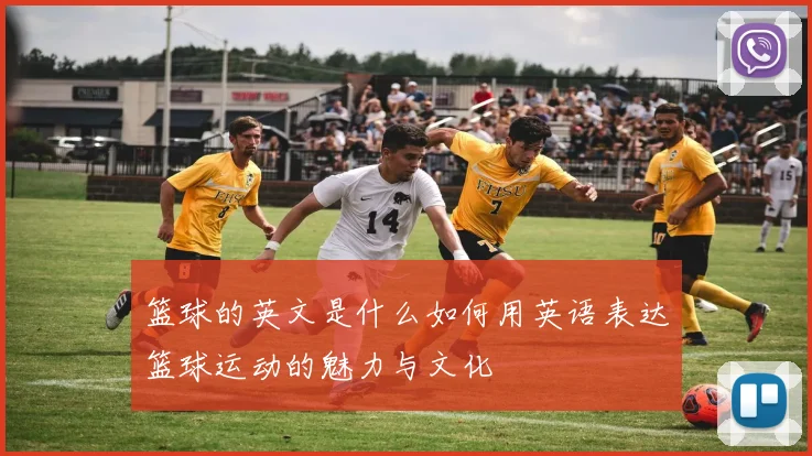 篮球的英文是什么如何用英语表达篮球运动的魅力与文化