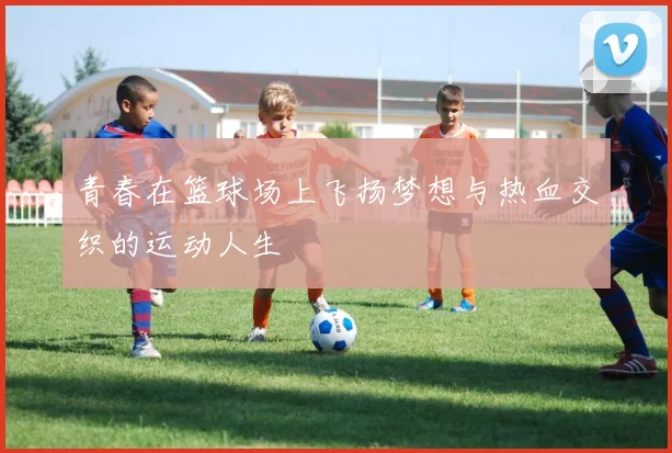 青春在篮球场上飞扬梦想与热血交织的运动人生