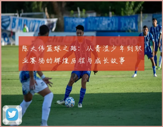 陈大伟篮球之路：从青涩少年到职业赛场的辉煌历程与成长故事