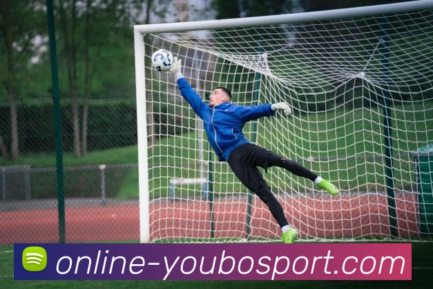 友博官网发展历程